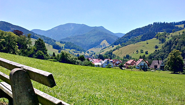 Münstertal: Blick auf den Belchen